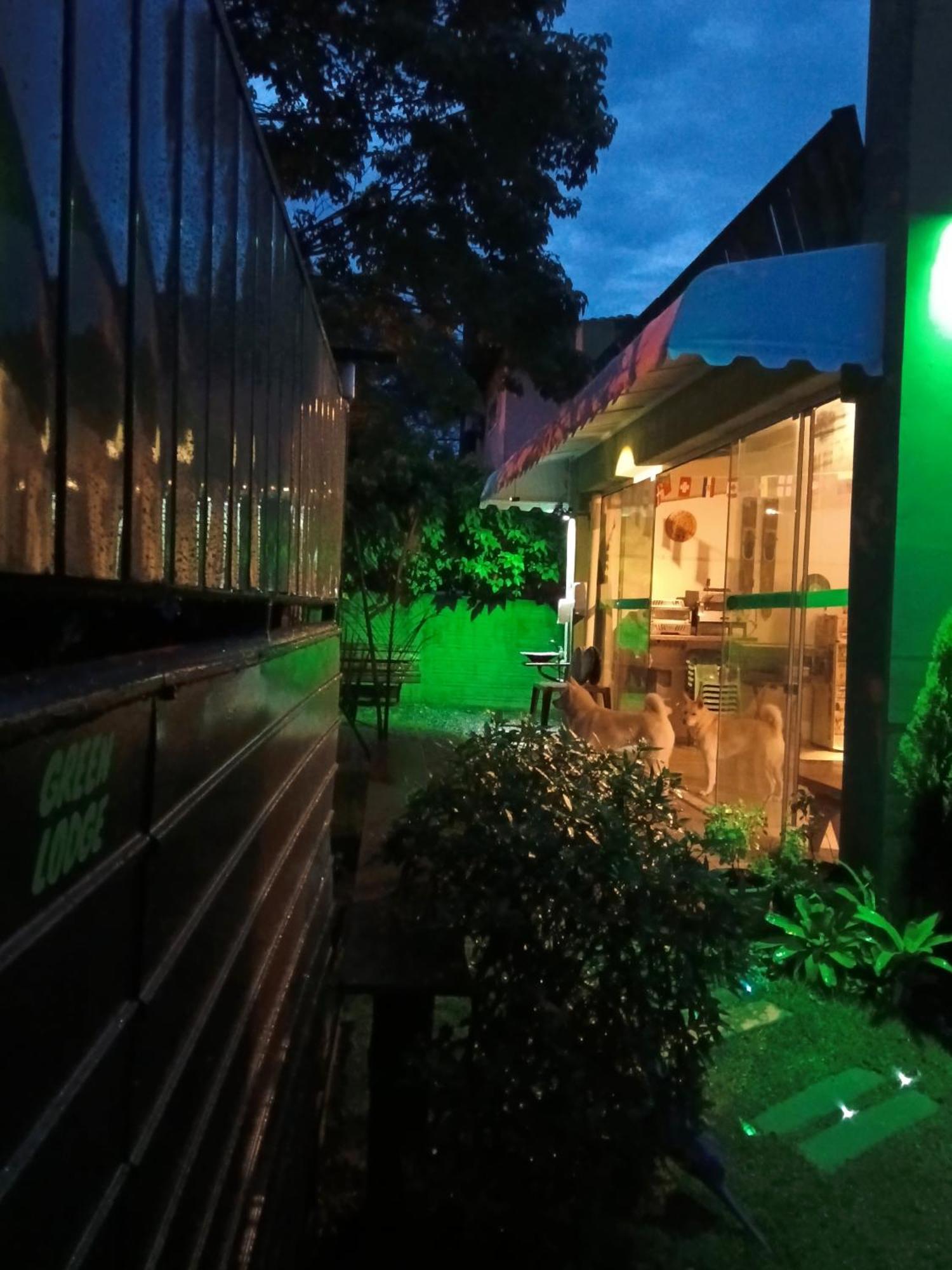 Green Lodge Eco Life Hotel Florianópolis المظهر الخارجي الصورة